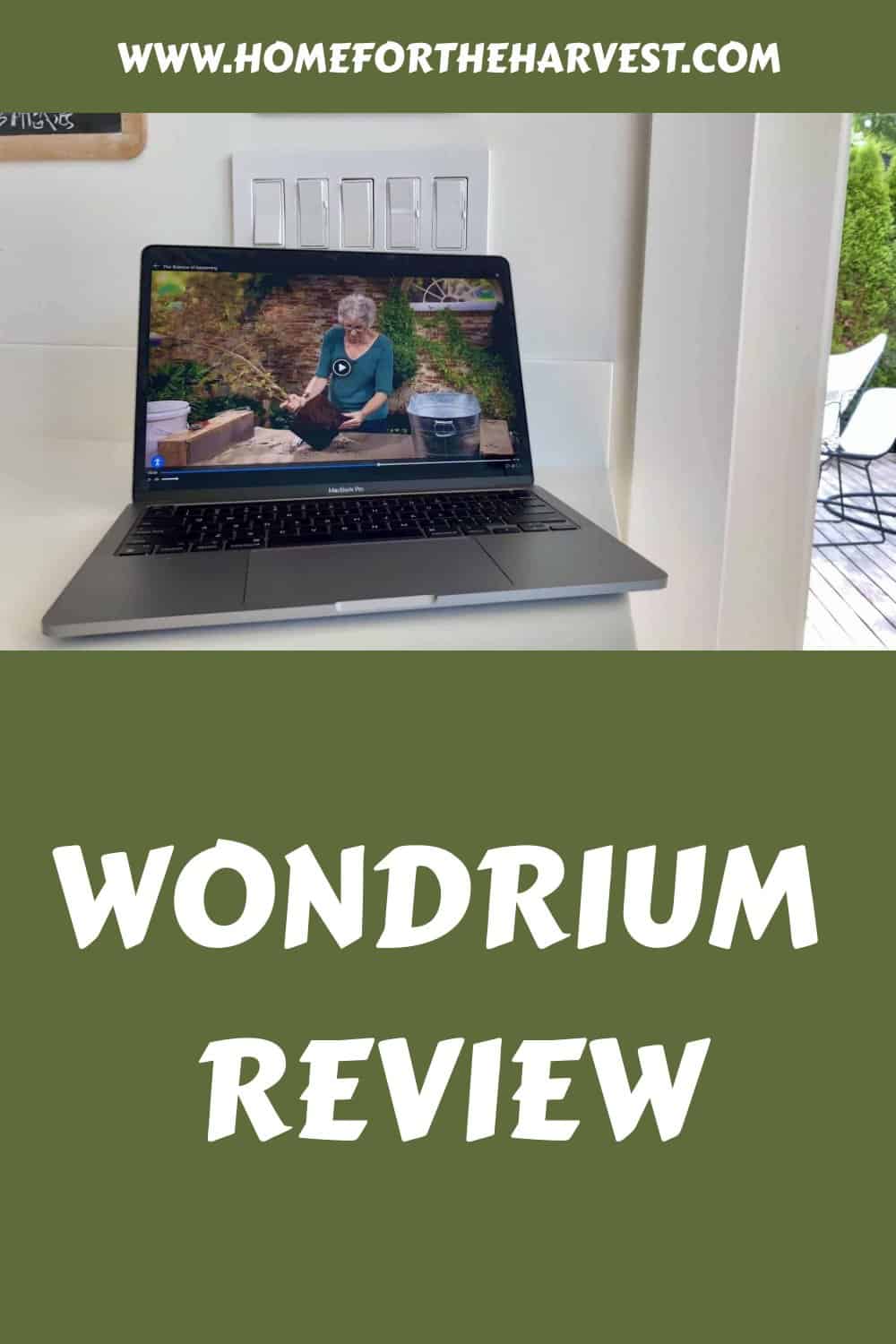 Wondrium review generated pin 17556