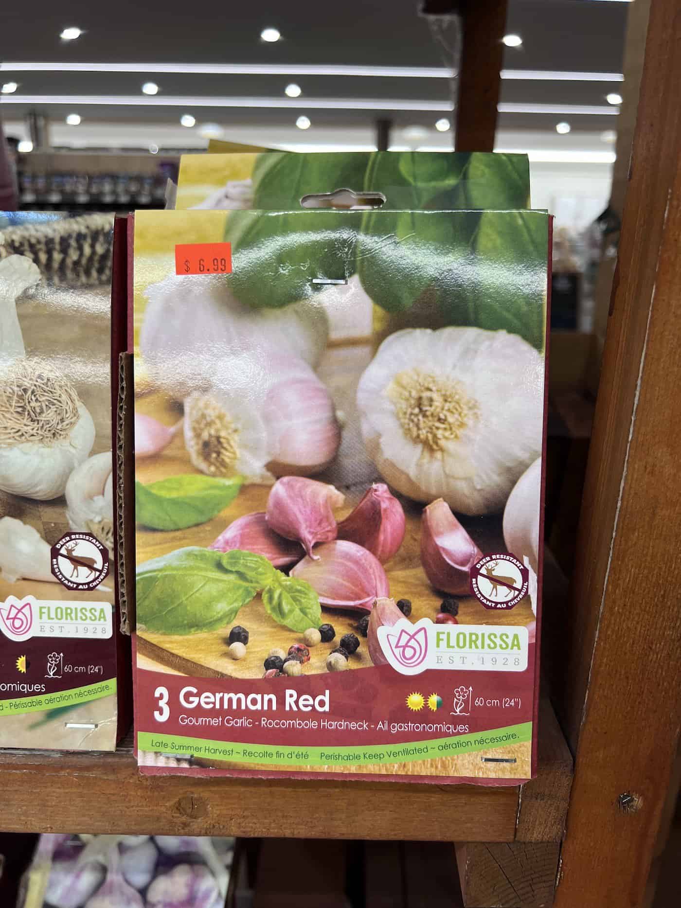 Buying seed garlic