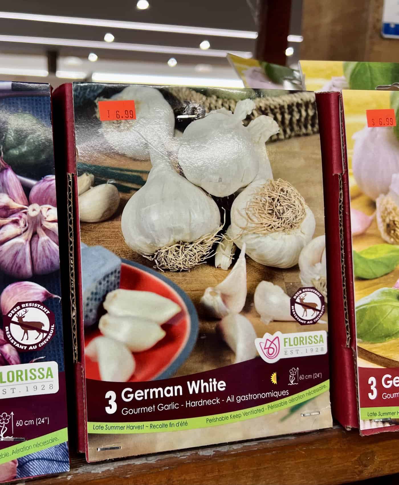 Buying seed garlic
