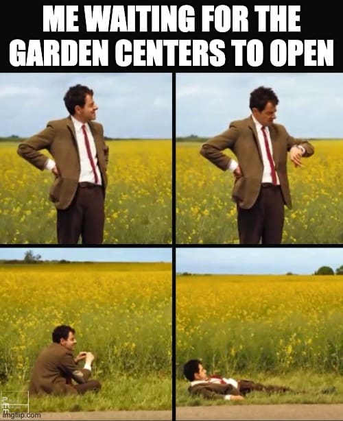 Me waiting for the garden centers to open
