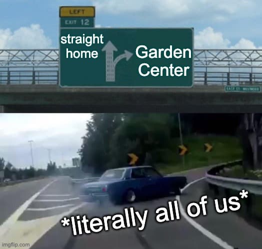 Straight home or to the garden center