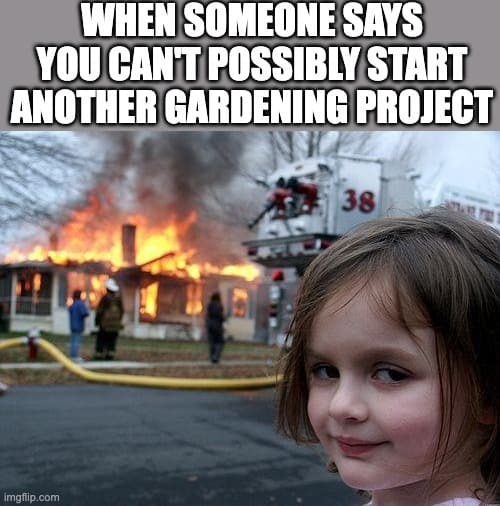 You can't possibly start another gardening project